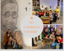 O zwierzętach w potrzebie