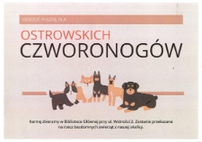 Kronika : Dorzuć puszkę dla ostrowskich czworonog&oacute;w, 10.2023